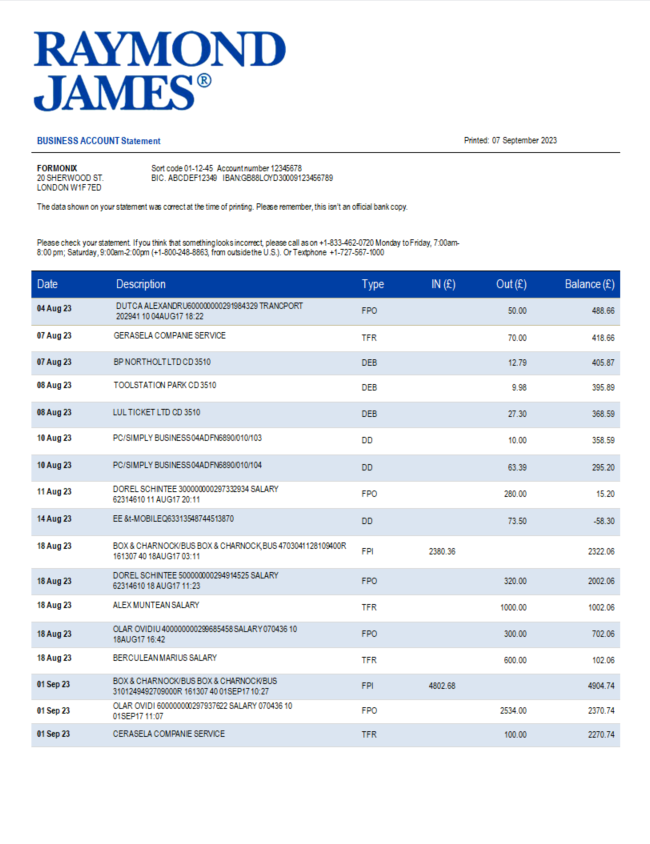 Déclaration d'organisation de Raymond James Bank Modèle Word et PDF